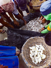 High angle view of fish for sale at market