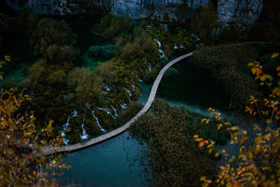 High angle view of waterfall in forest