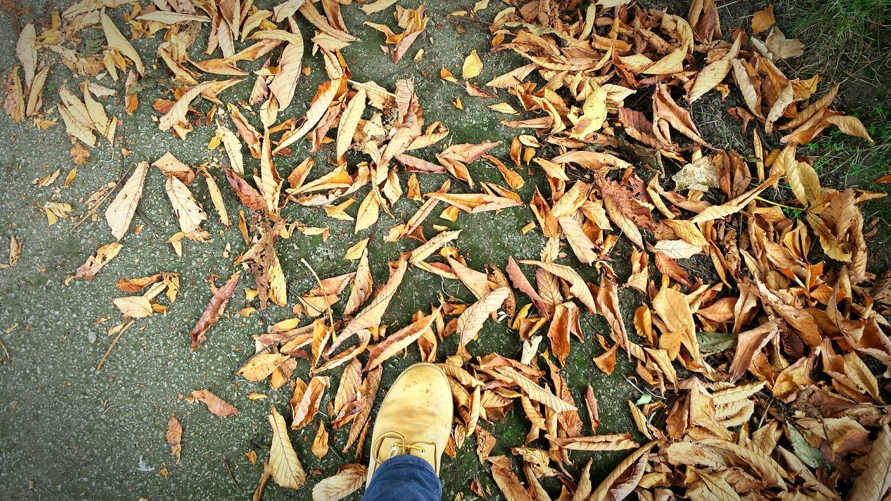 Kicking leaves