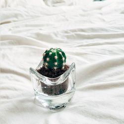 High angle view of glass on table