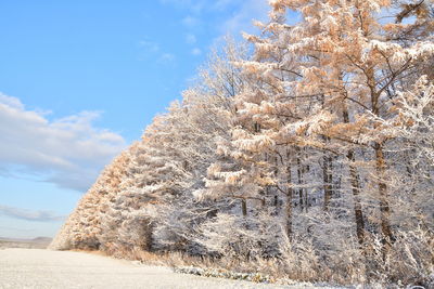 Low angle view of snow on land against sky