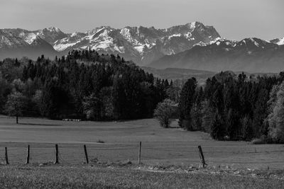 Trees on field by mountains against sky