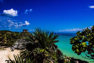 Scenic view of sea against blue sky