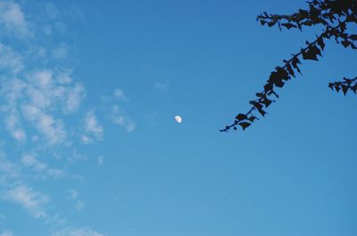 Low angle view of airplane flying against clear blue sky