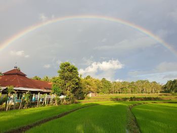 Scenic view of rainbow over field against sky