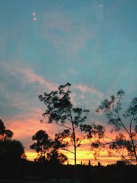 Low angle view of silhouette trees against sky during sunset