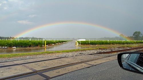 rainbow