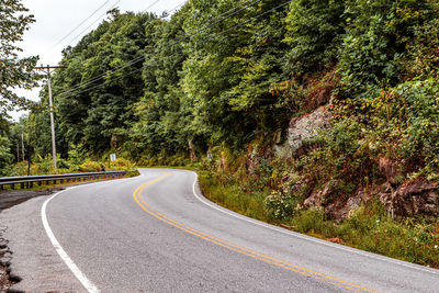 Road amidst trees