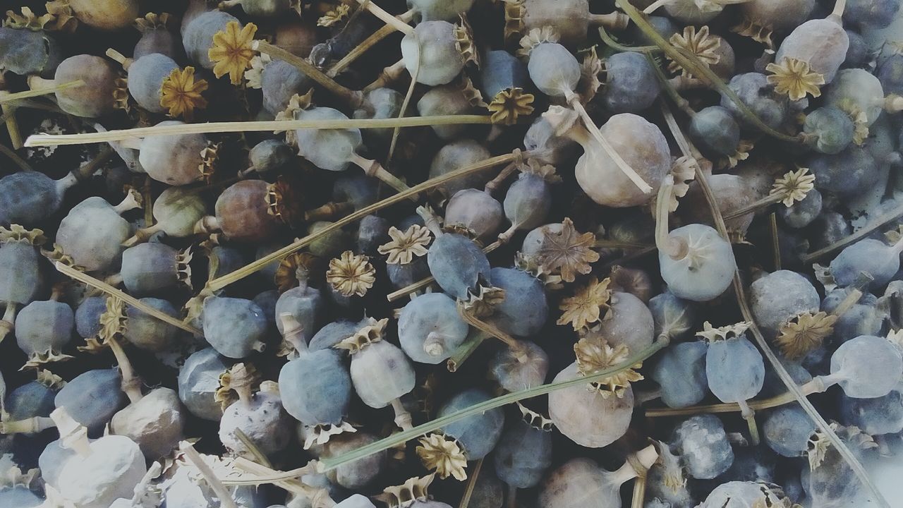 ТатианаСергевна