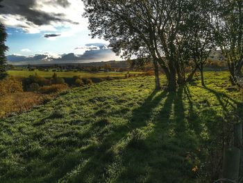 Scenic view of land against sky