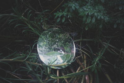 High angle view of glass on field