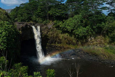 Waterfall in forest