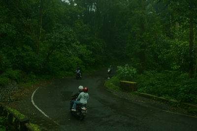 Rear view of people riding motorcycle on road amidst trees