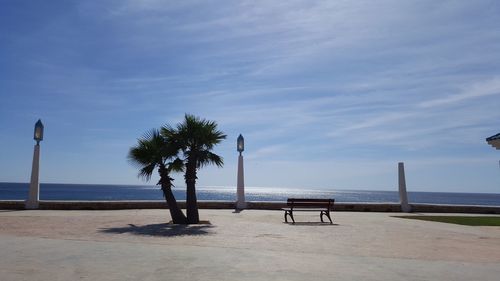 Palm trees on beach against blue sky