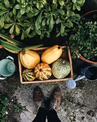 Low section of man standing by pumpkins