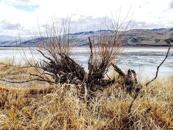 Scenic view of land during winter against sky