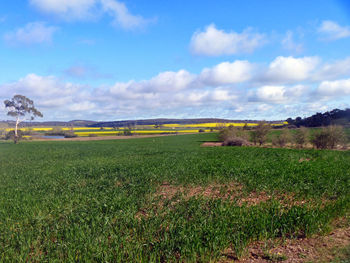 Scenic view of field against sky