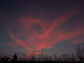 Low angle view of silhouette trees against sky at night