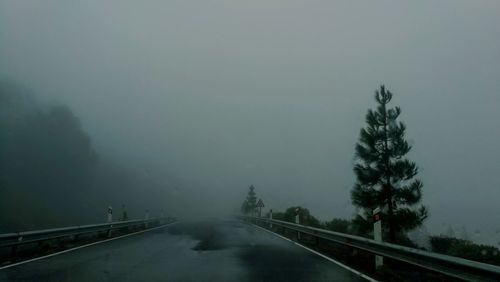 Road by trees against sky during foggy weather