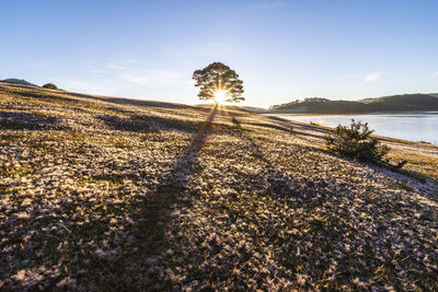 Scenic view of land against sky on sunny day