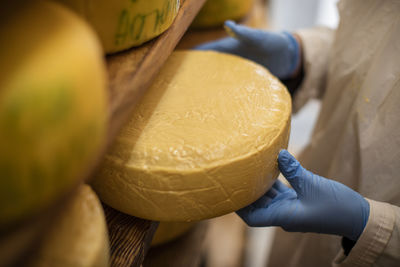 Cheese factory worker controlling maturation of cheese