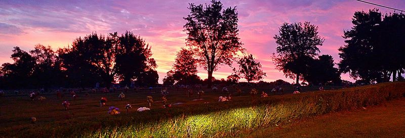 Silhouette trees on field against sky during sunset