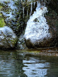 River flowing through rocks in forest