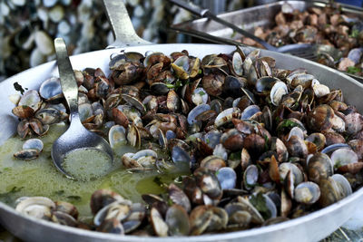 High angle view of shells for sale at market