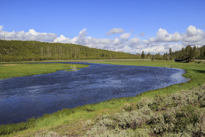 Scenic view of agricultural field against blue sky