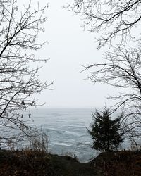 nature