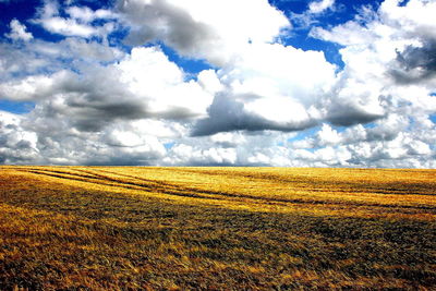 Scenic view of field against cloudy sky