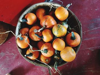 High angle view of pumpkins in container