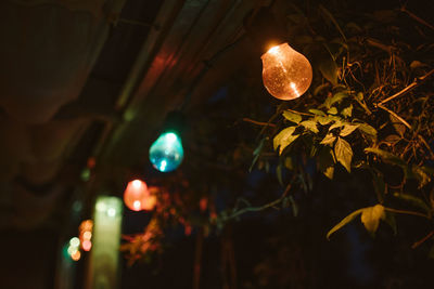 Low angle view of illuminated lights hanging on tree