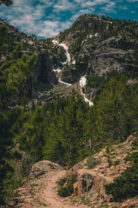 Mountain view, rocky mountains, colorado.