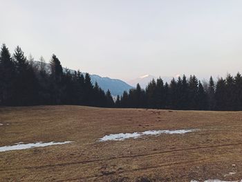 Scenic view of field against sky during winter