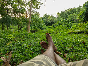Low section of person relaxing on plants
