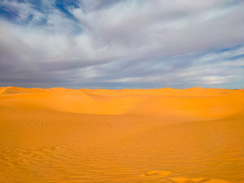 The dunes of the sand rose in the red oasis timimoun 