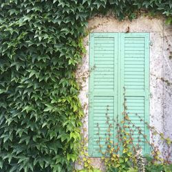Close-up of closed door