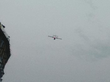 Low angle view of airplane flying in sky