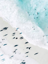 High angle view of ice on sea shore