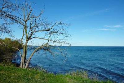 Scenic view of sea against clear blue sky