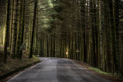 Empty road amidst trees in forest