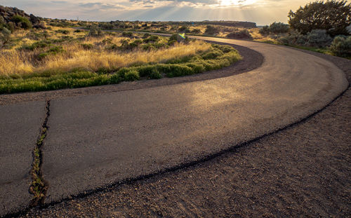Road amidst field