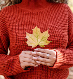 Close-up of person holding maple leaf