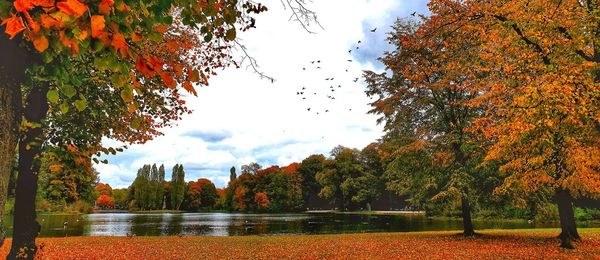 Trees by lake against sky during autumn