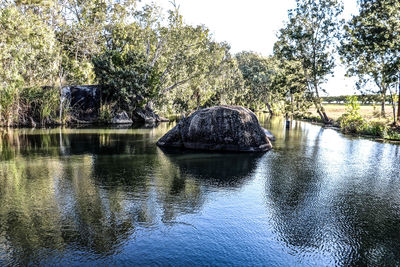 Reflection of trees in water against sky