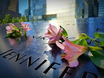 High angle view of flowers on tombstones during memorial day