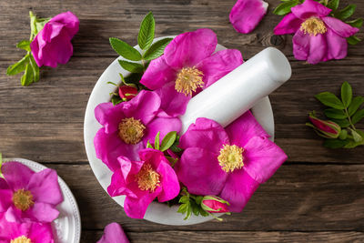 High angle view of pink flowering plants on table