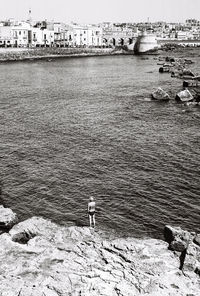 Seagull on rock in sea