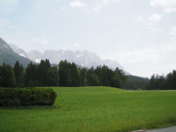 Scenic view of field against sky